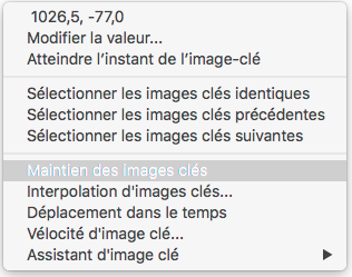 maintien_images_cles